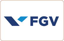 fvg logo