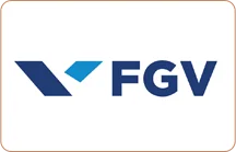 fvg logo